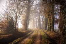 Nicolas RIFFAUD - riffaud.nicolas@gmail.com